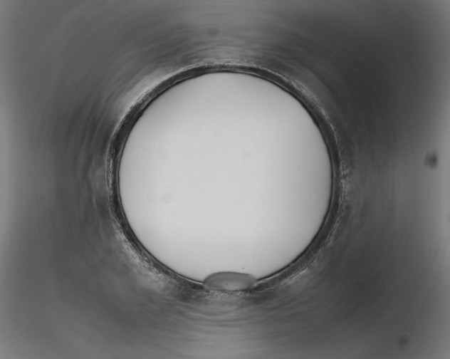 X0000116460981201001061034