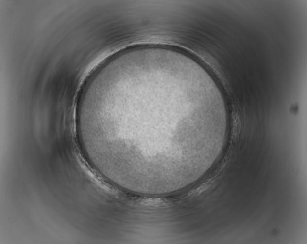 X0000116460982201001061034