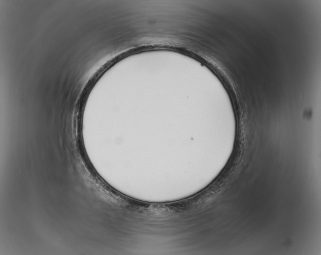 X0000116460983201001061034