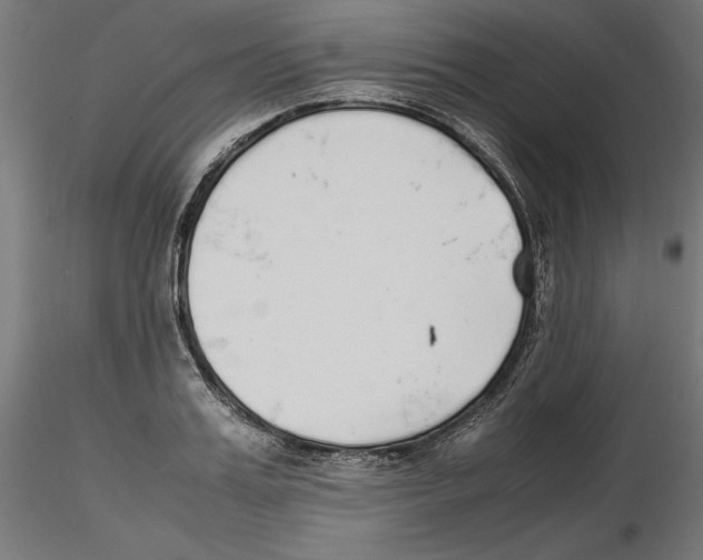 X0000116460987201001061034