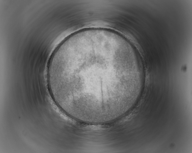 X0000116460990201001061034