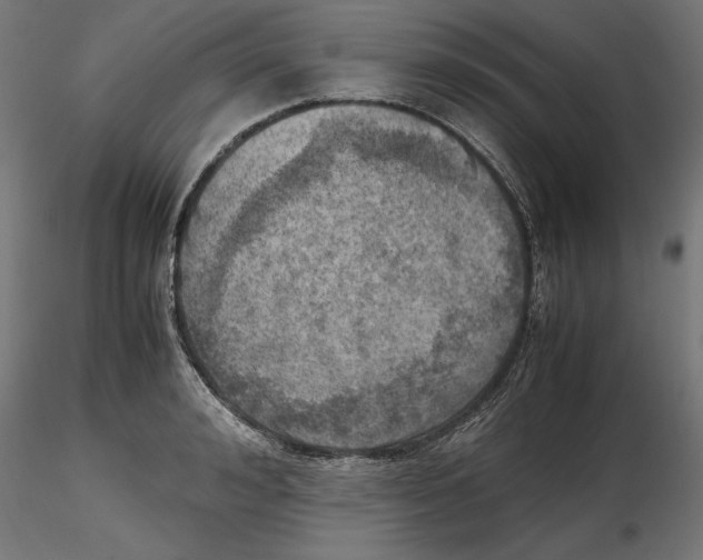 X0000116460992201001061034