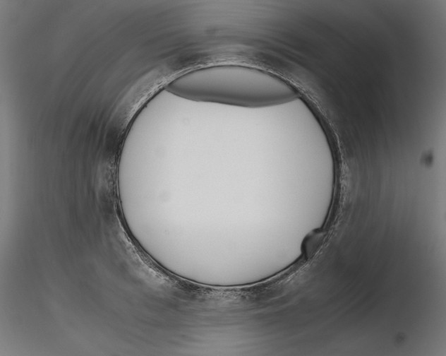 X0000116460993201001061034