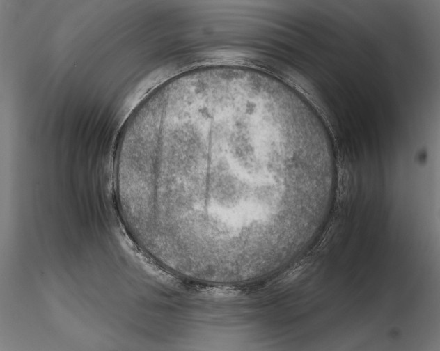 X0000116460994201001061034