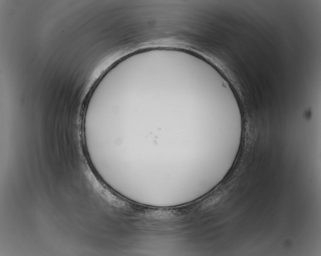 X0000116460998201001061034