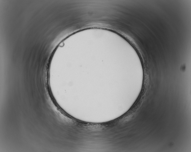 X0000116460999201001061034