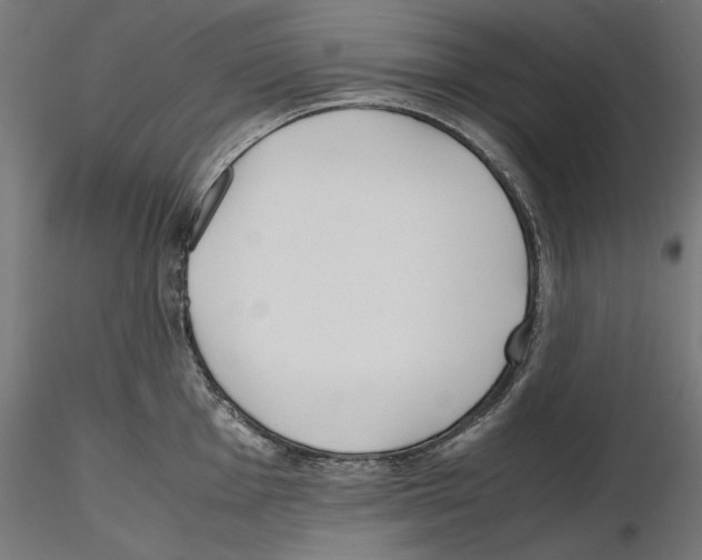 X0000116461001201001061034