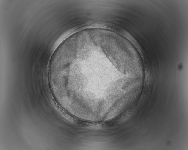 X0000116461002201001061034
