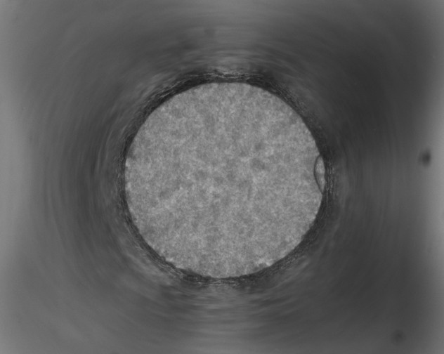 X0000116461009201001061033