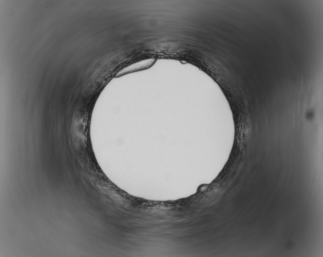 X0000116461010201001061033