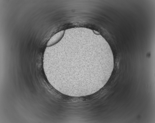 X0000116461012201001061034