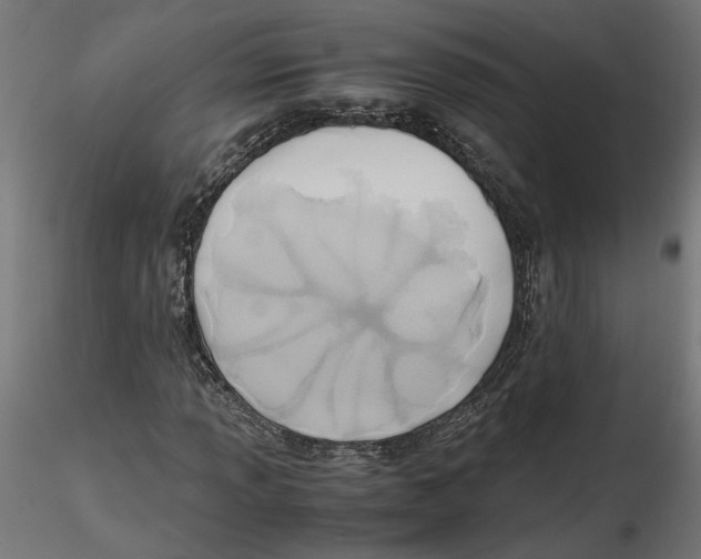 X0000116461013201001061034