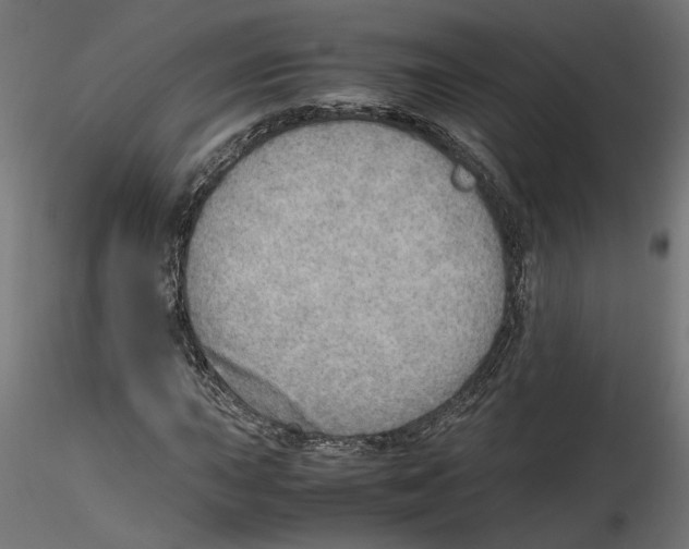 X0000116461015201001061034