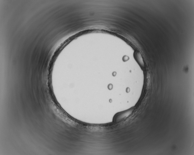 X0000116461020201001061034