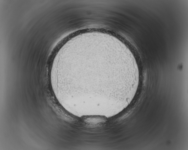 X0000116461021201001061034
