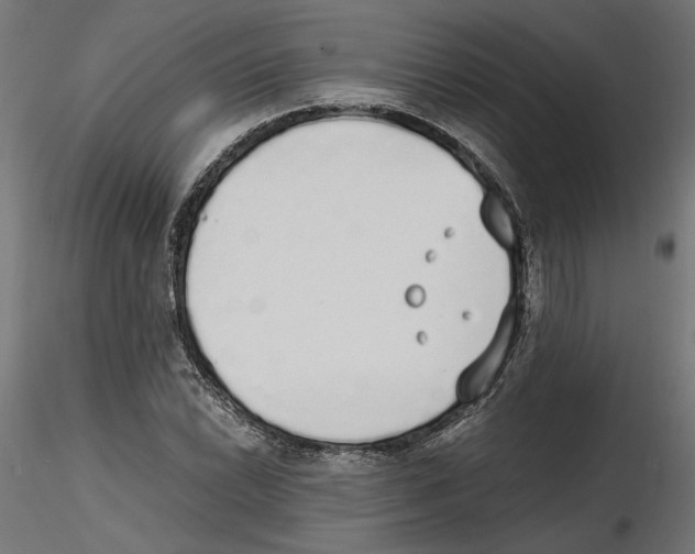 X0000116461022201001061034