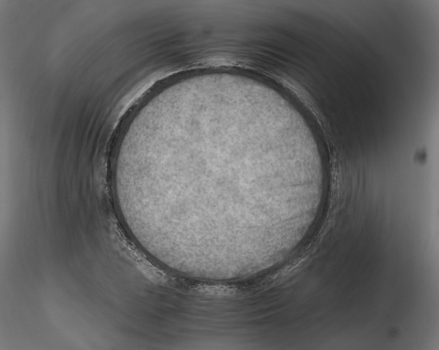 X0000116461023201001061034