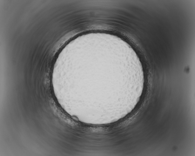 X0000116461025201001061034