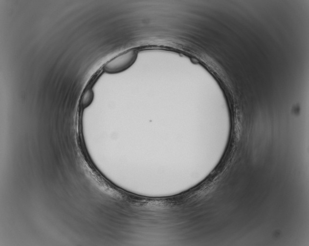 X0000116461028201001061034