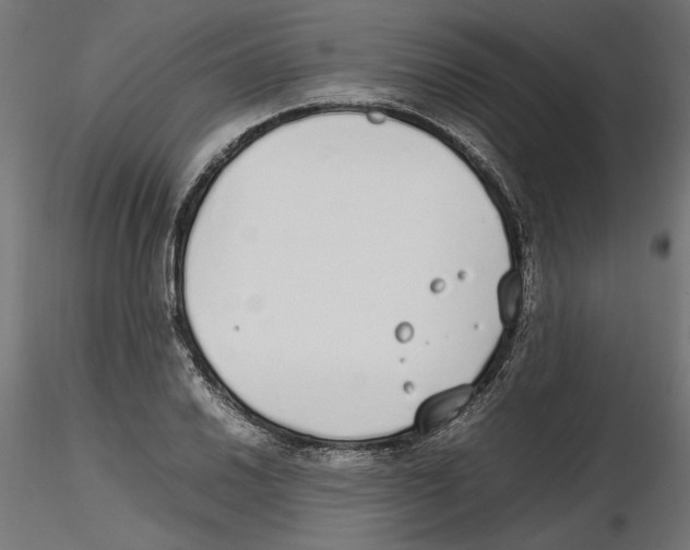 X0000116461030201001061034