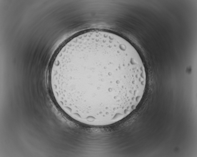 X0000116461032201001061034