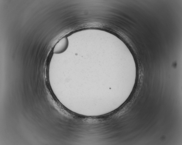X0000116461034201001061034