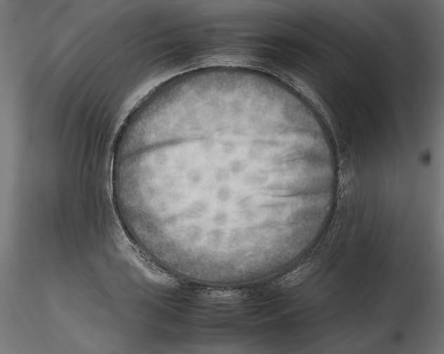 X0000116461035201001061034