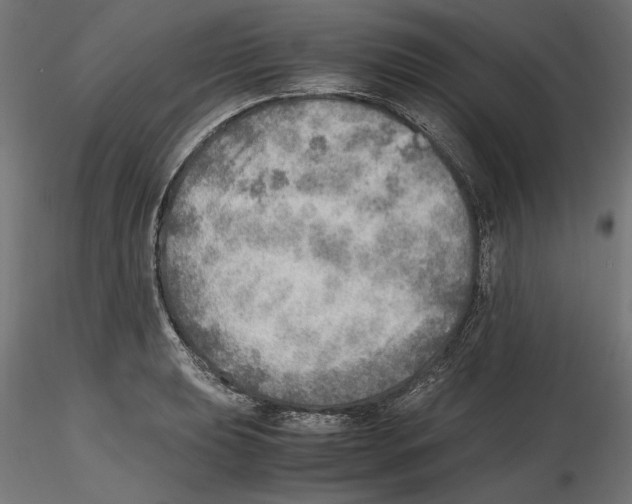 X0000116461039201001061034