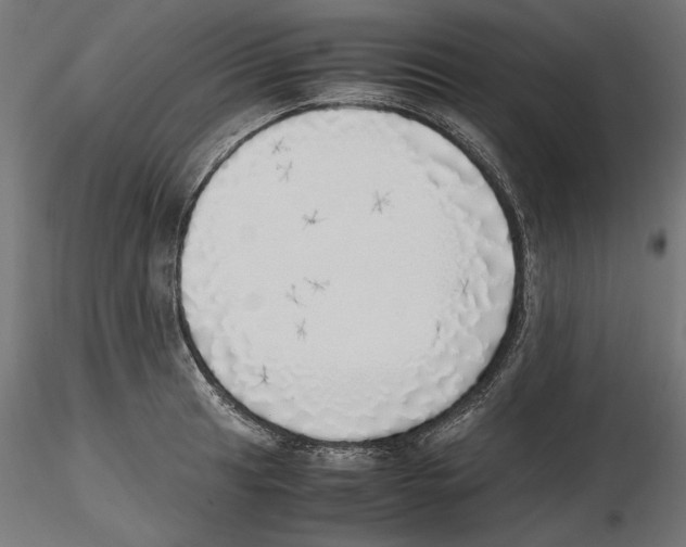 X0000116461041201001061034