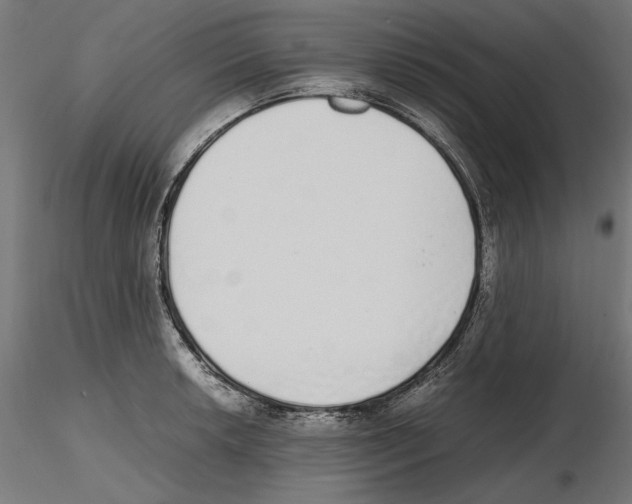 X0000116461042201001061034