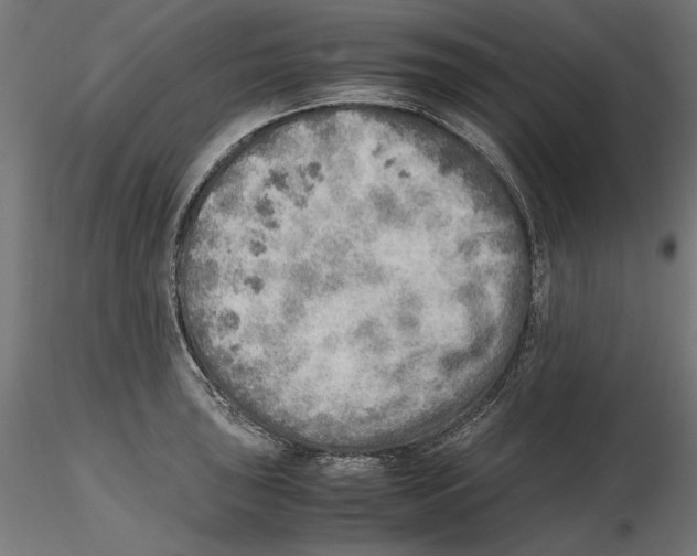 X0000116461043201001061034