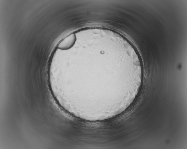 X0000116461045201001061034