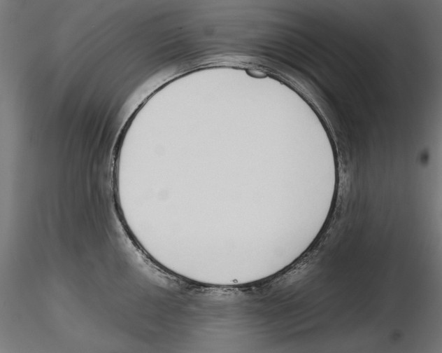 X0000116461050201001061034