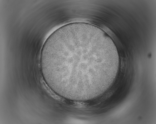 X0000116461052201001061034