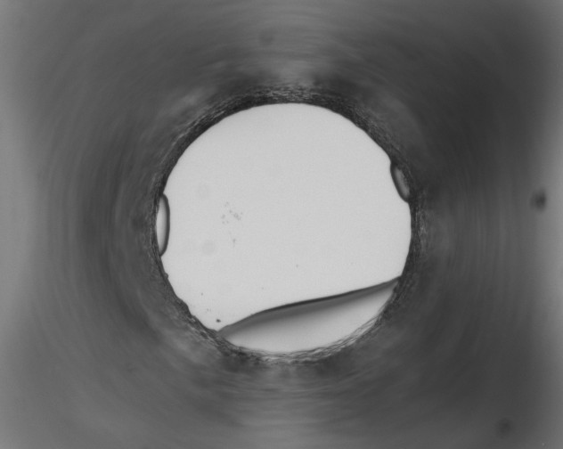 X0000116461057201001061033