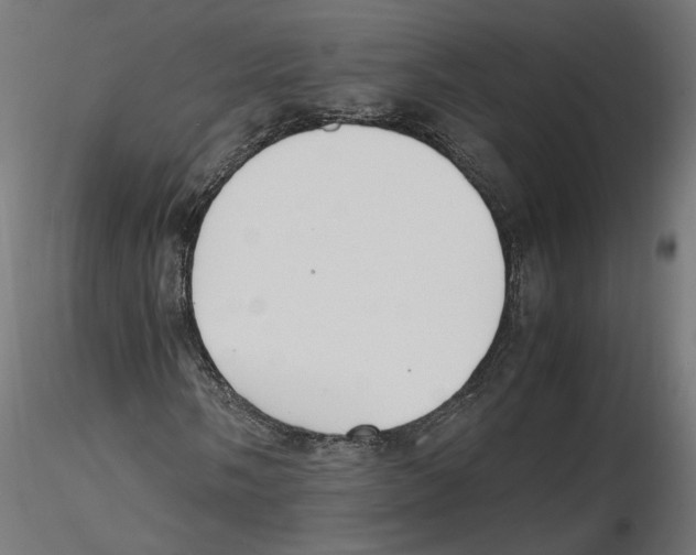 X0000116461058201001061033