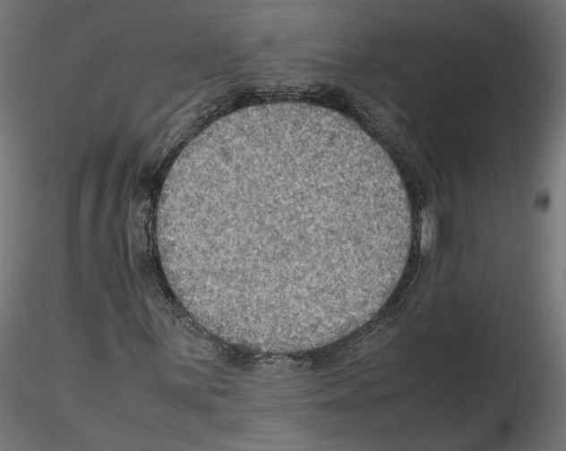 X0000116461059201001061033
