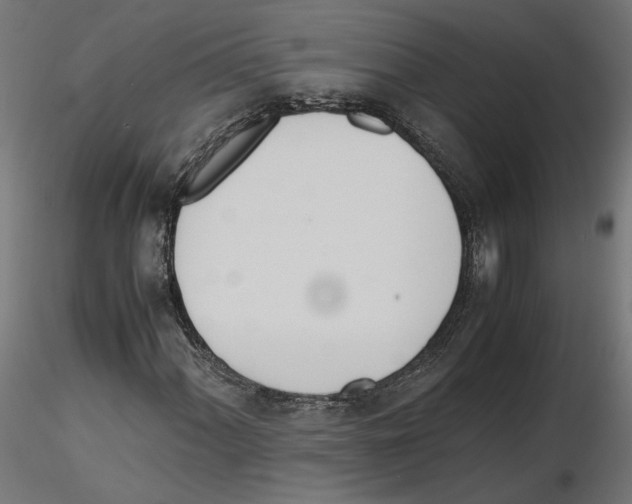 X0000116461060201001061033