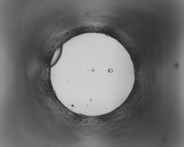 X0000116461061201001061033