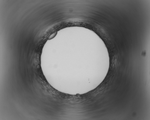 X0000116461062201001061033