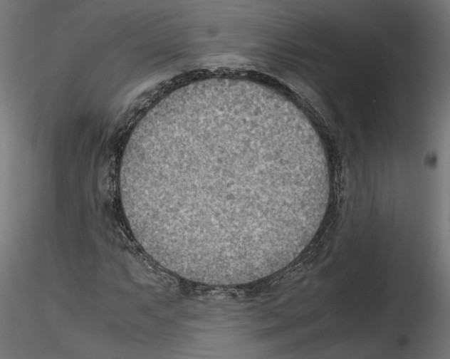X0000116461063201001061033