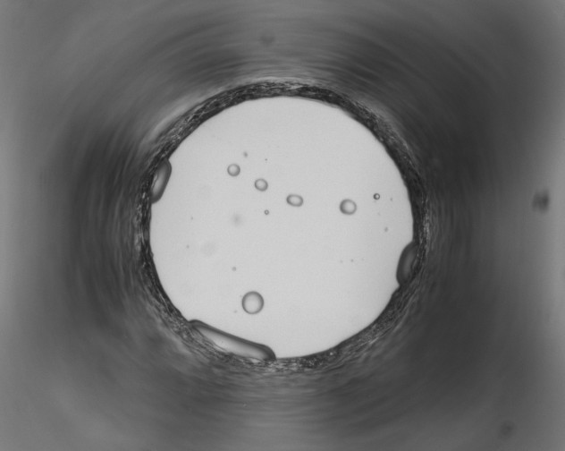 X0000116461064201001061033