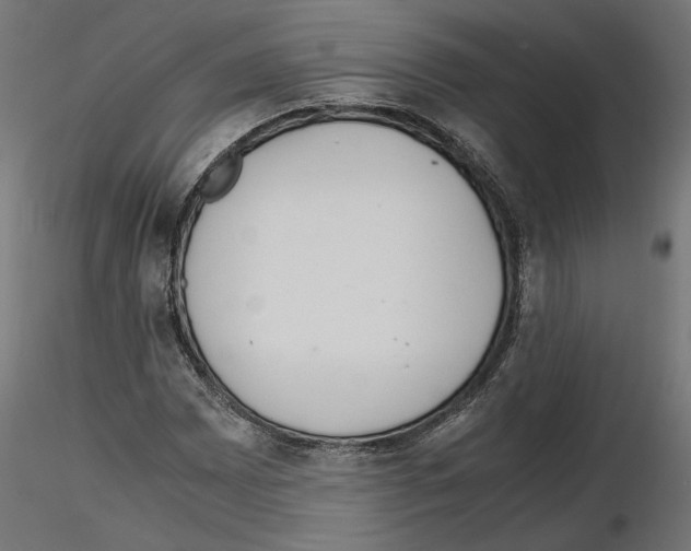 X0000116461065201001061033