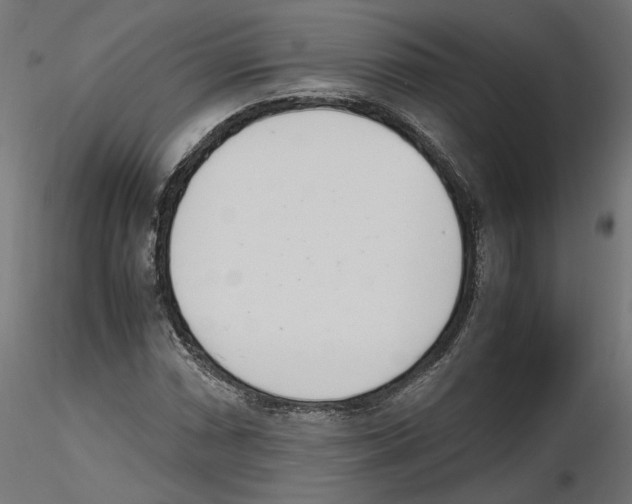 X0000116461066201001061033