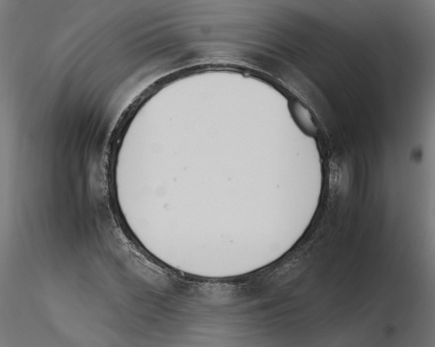 X0000116461068201001061033