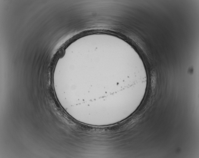 X0000116461069201001061033