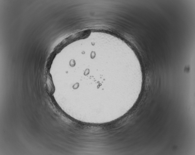 X0000116461071201001061033