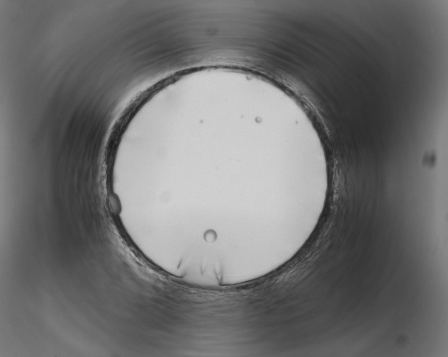 X0000116461072201001061033