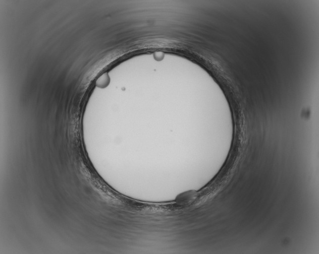 X0000116461073201001061033