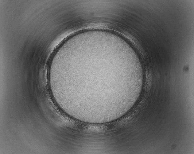 X0000116461078201001061033